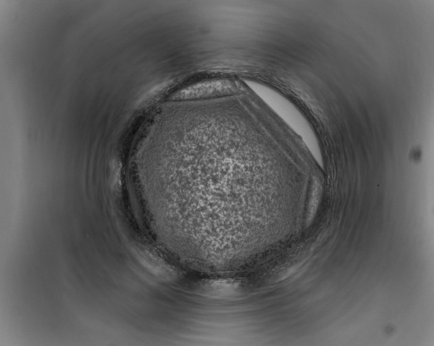 X0000099480692200805301619