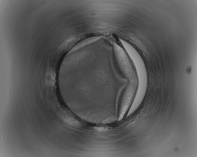X0000099480693200805301619