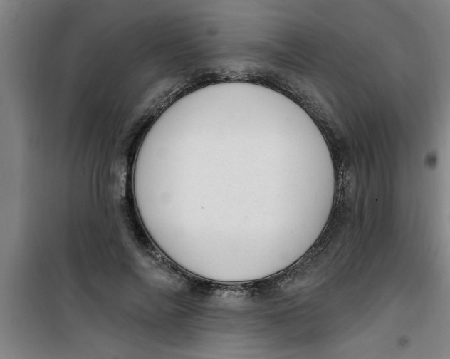 X0000099480694200805301619