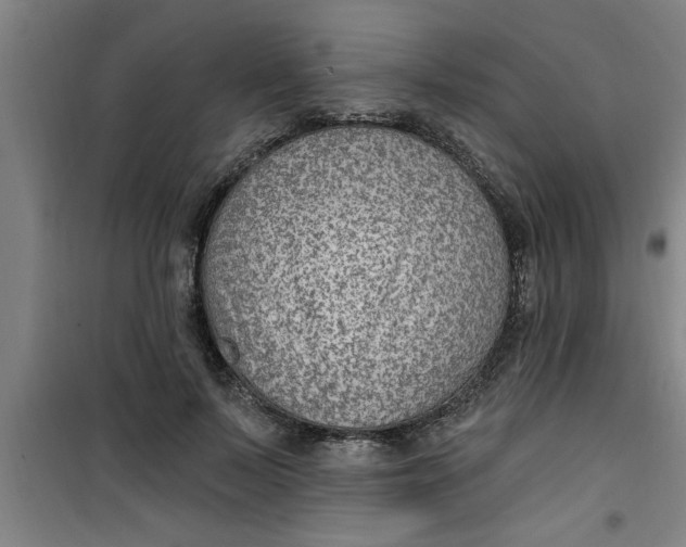 X0000099480695200805301619