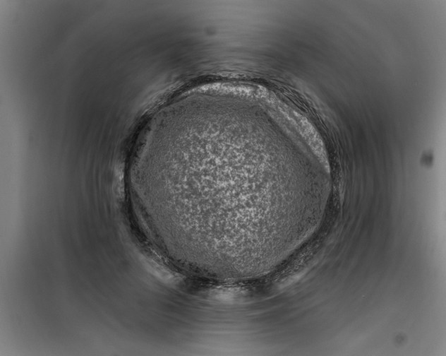 X0000099480696200805301619