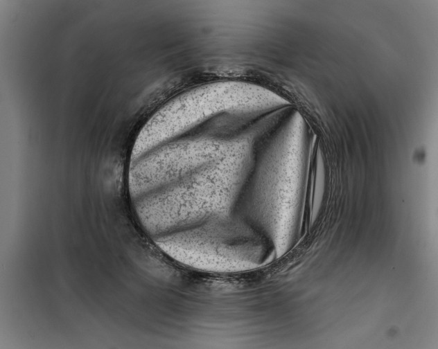 X0000099480697200805301619