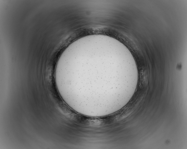 X0000099480698200805301619