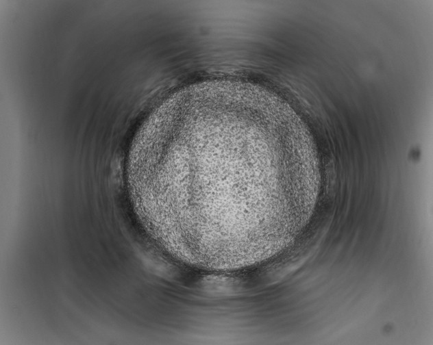 X0000099480699200805301619