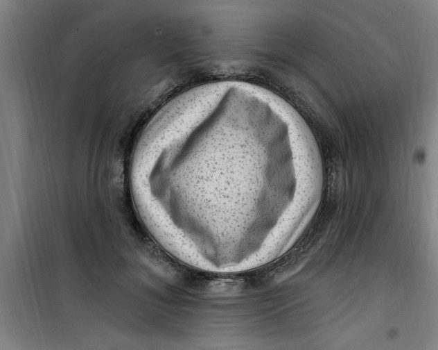 X0000099480700200805301619