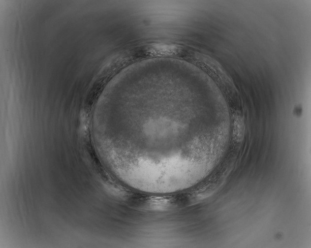 X0000099480701200805301619