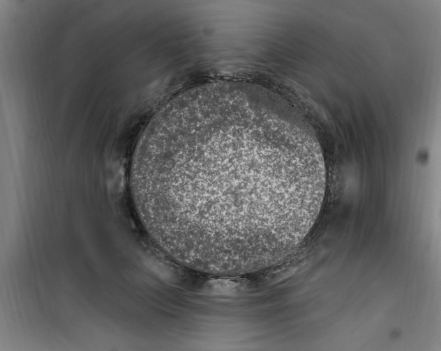 X0000099480703200805301619