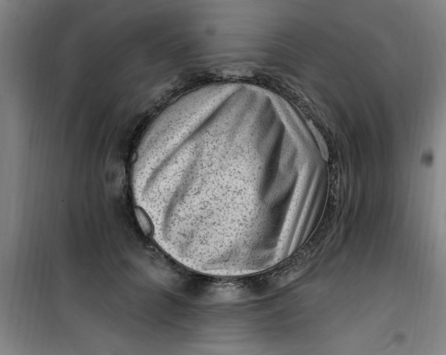 X0000099480704200805301619
