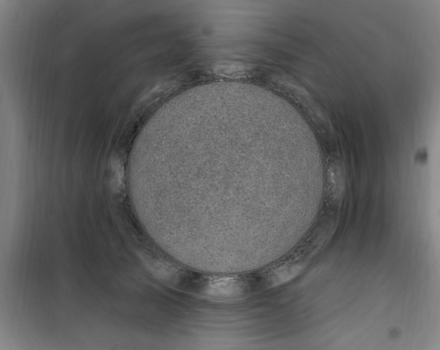X0000099480705200805301619