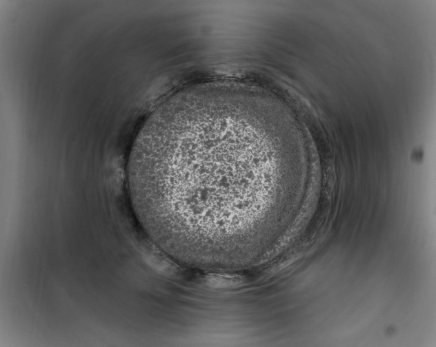 X0000099480707200805301619