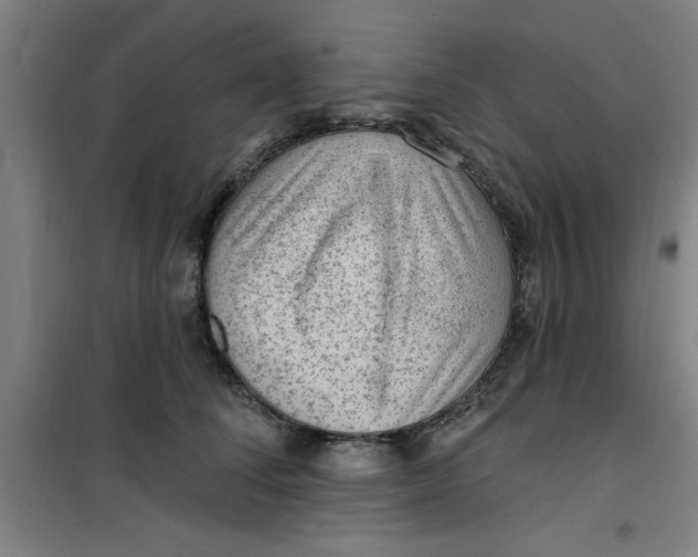 X0000099480708200805301619