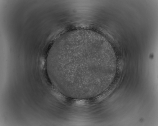 X0000099480709200805301619