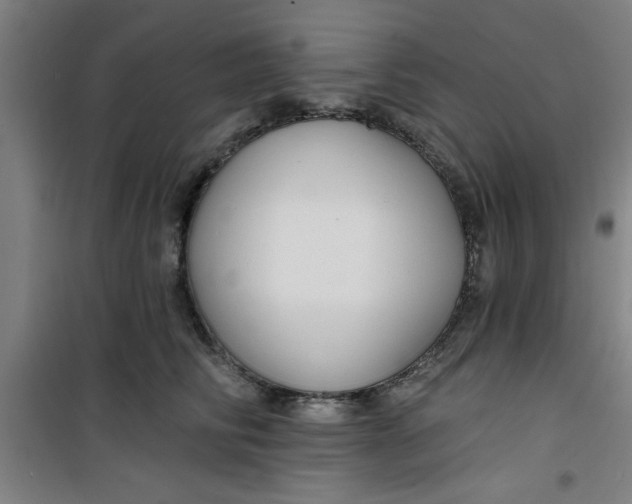 X0000099480710200805301619