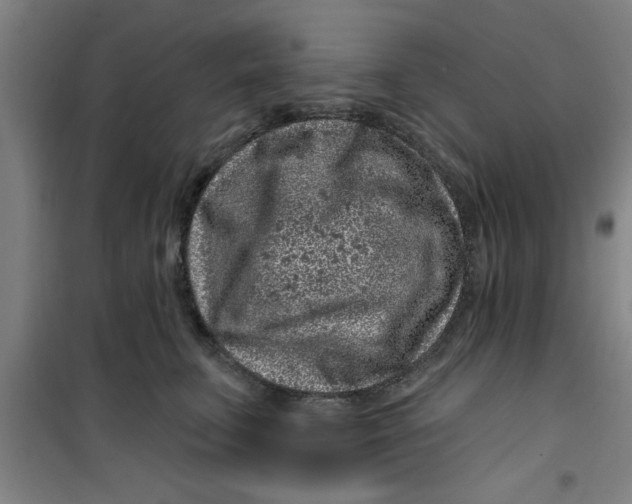 X0000099480711200805301619