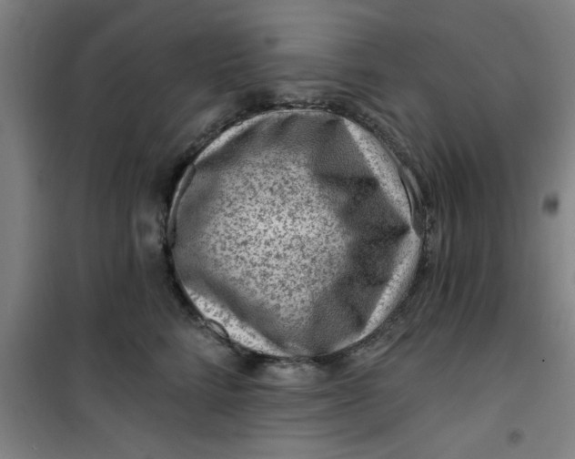 X0000099480712200805301619