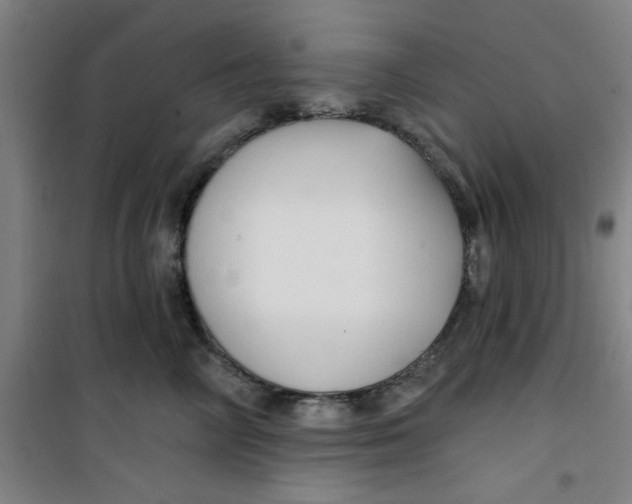 X0000099480714200805301619