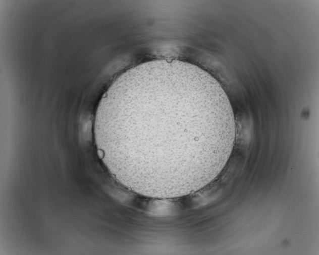 X0000099480717200805301619