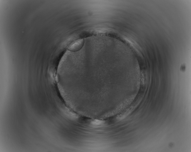 X0000099480718200805301619