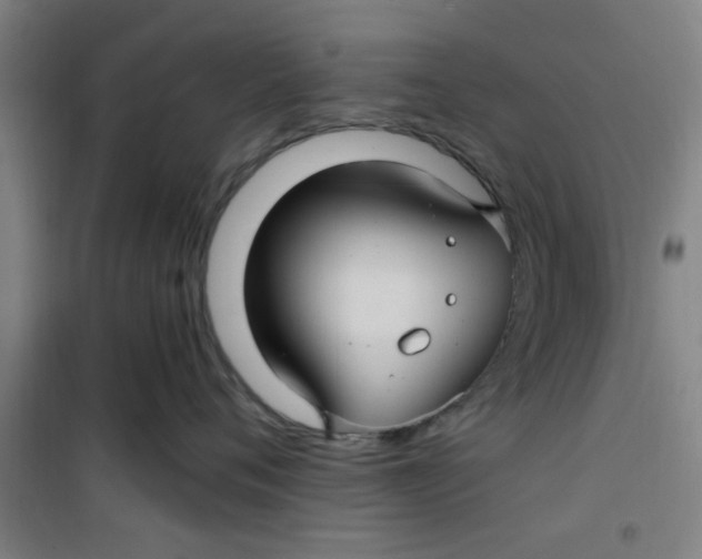 X0000099480720200805301619