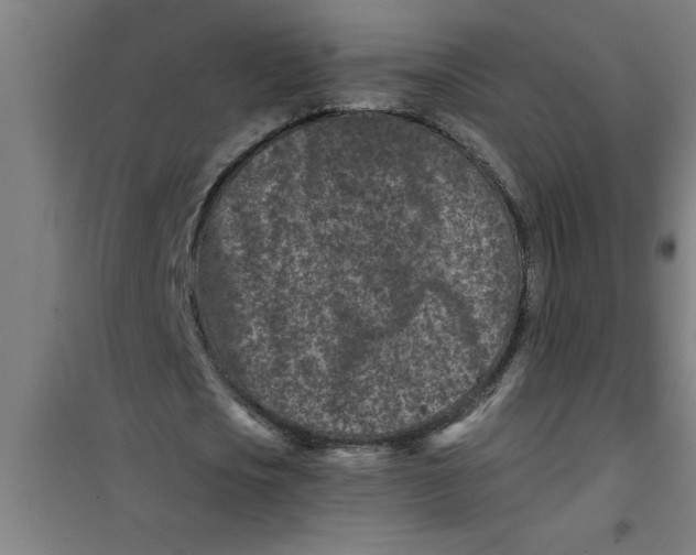 X0000099480721200805301618