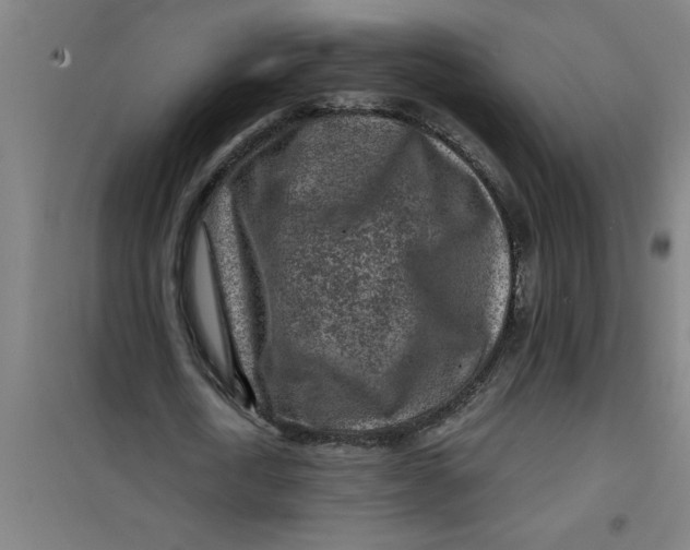X0000099480722200805301618