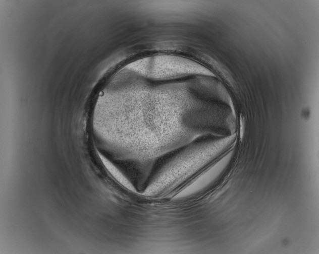 X0000099480723200805301618