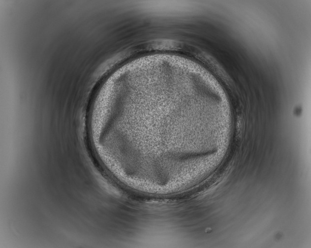 X0000099480725200805301618