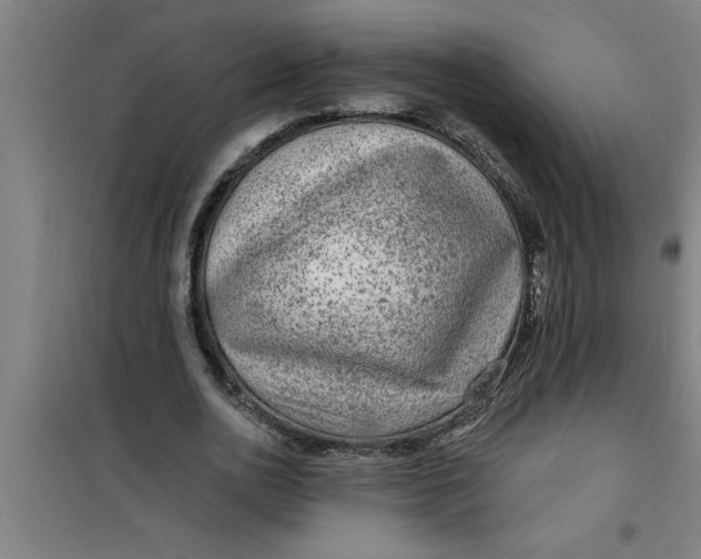 X0000099480726200805301618