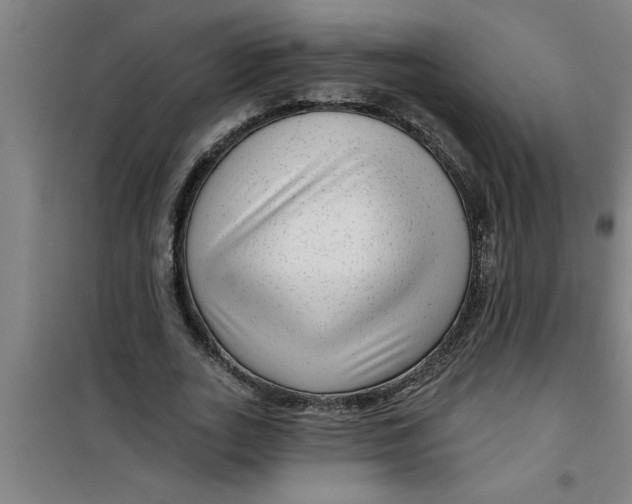 X0000099480727200805301618