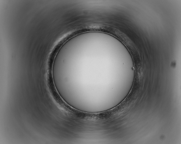 X0000099480728200805301618