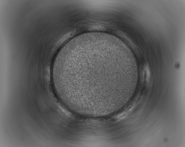 X0000099480729200805301618