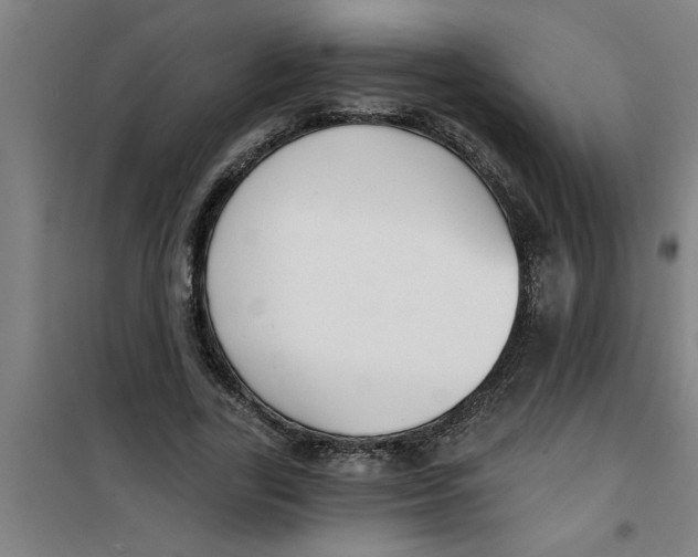 X0000099480731200805301618