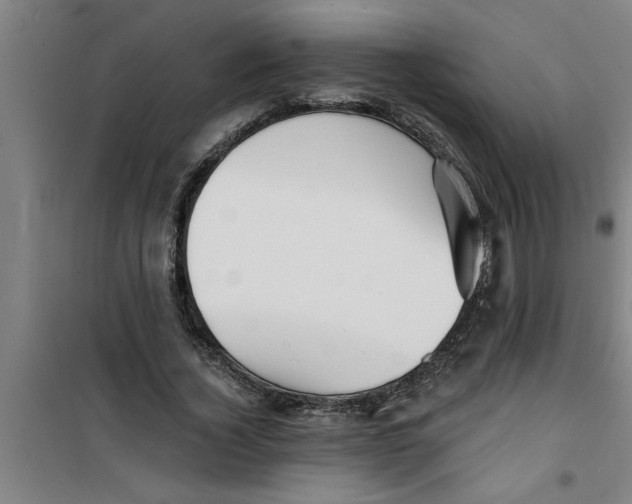 X0000099480732200805301618