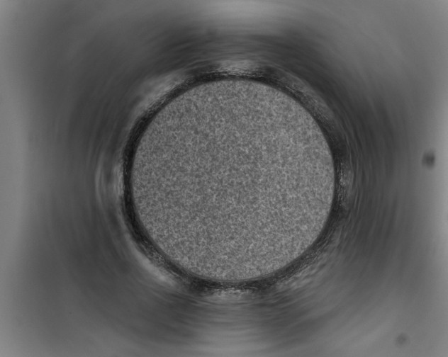 X0000099480734200805301618