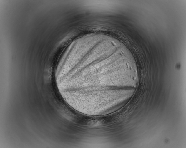 X0000099480735200805301618
