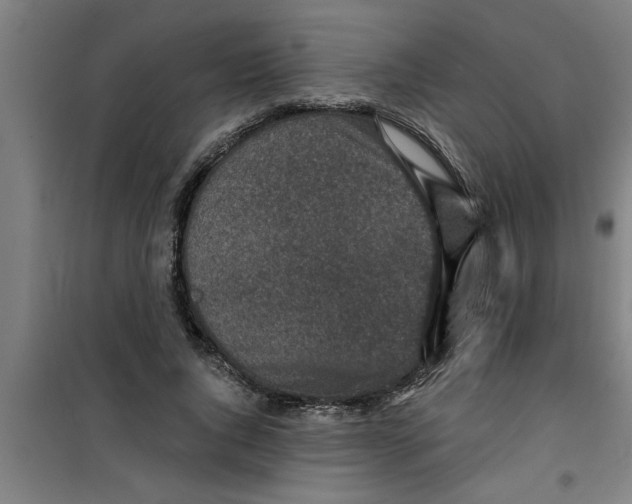 X0000099480736200805301618