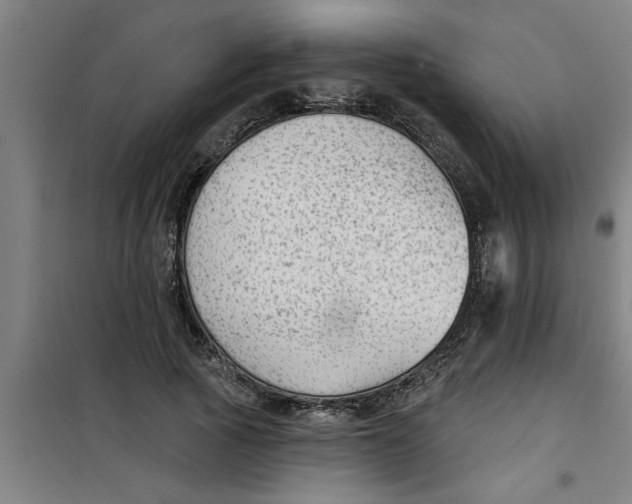 X0000099480737200805301618