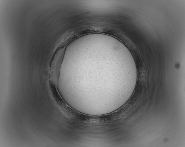 X0000099480738200805301618