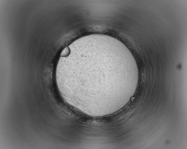 X0000099480739200805301618