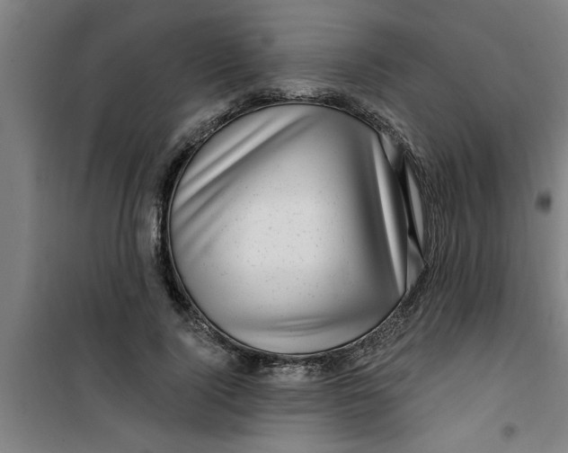 X0000099480740200805301618