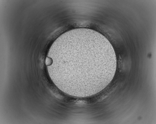 X0000099480741200805301618