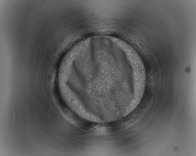 X0000099480742200805301618