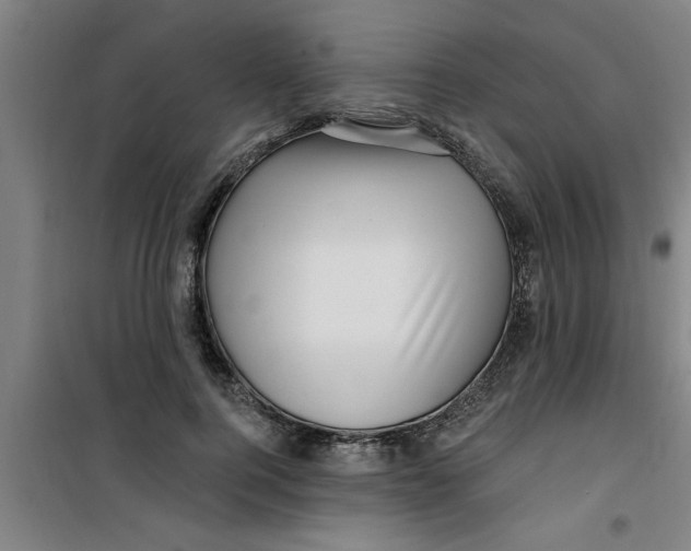 X0000099480744200805301618