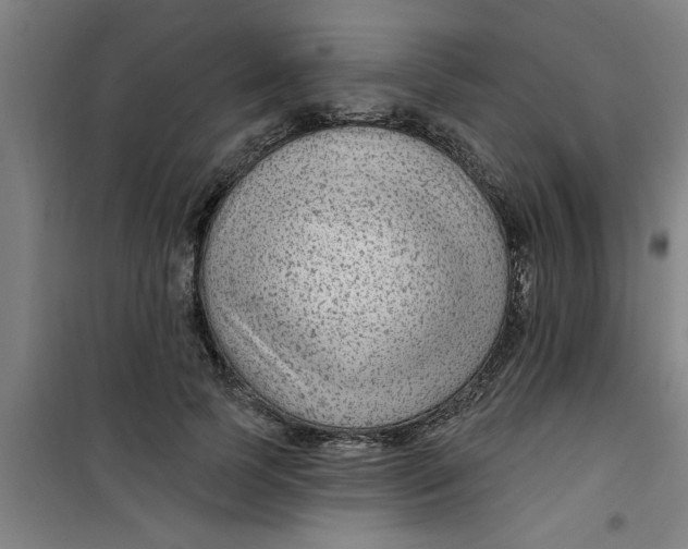 X0000099480745200805301618