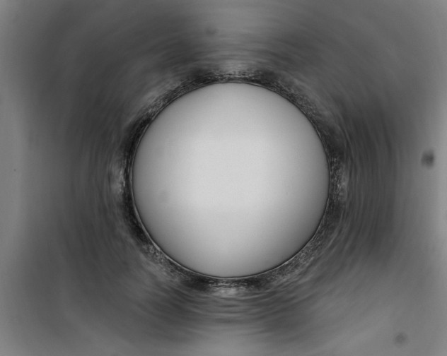 X0000099480746200805301618