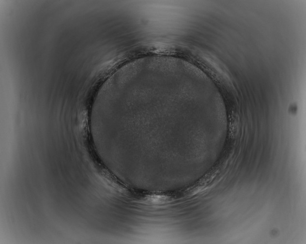 X0000099480748200805301618