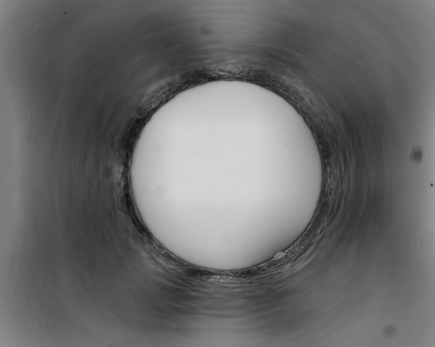 X0000099480749200805301618