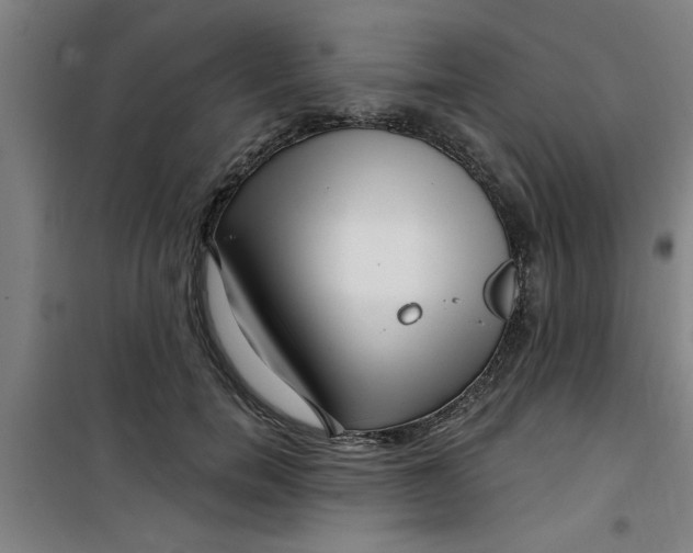 X0000099480750200805301618