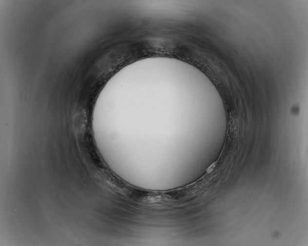 X0000099480752200805301618