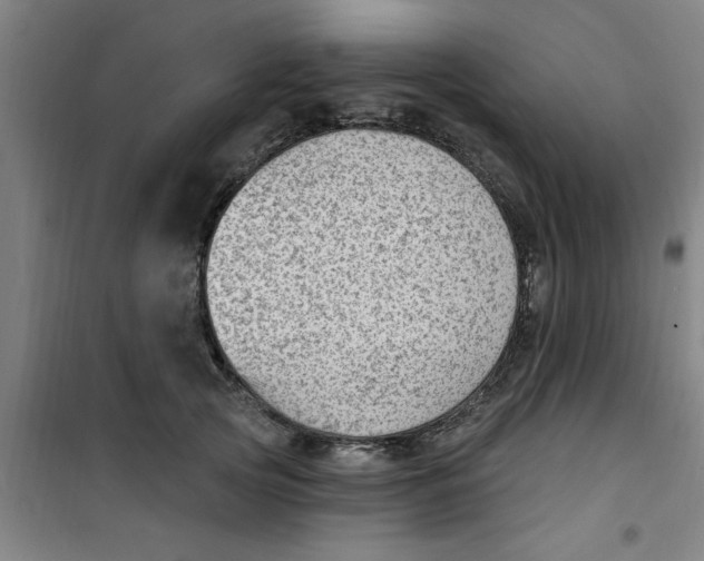 X0000099480753200805301618